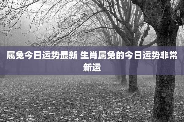 属兔今日运势最新 生肖属兔的今日运势非常新运