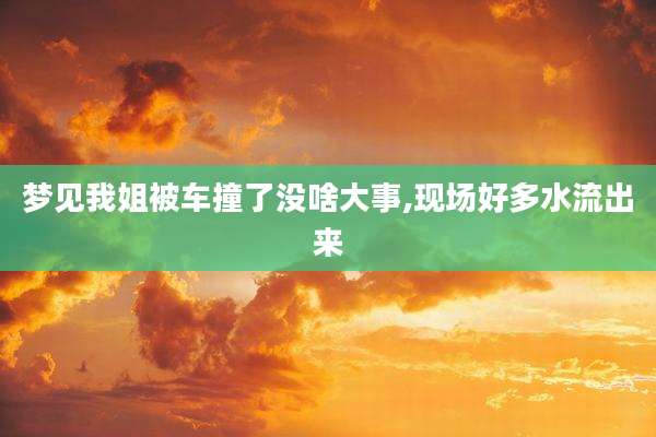 梦见我姐被车撞了没啥大事,现场好多水流出来