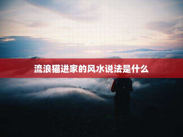 流浪猫进家的风水说法是什么