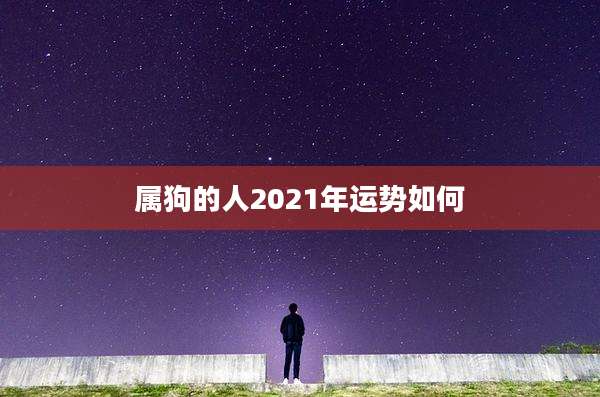 属狗的人2021年运势如何