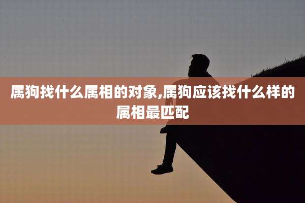 属狗找什么属相的对象,属狗应该找什么样的属相最匹配