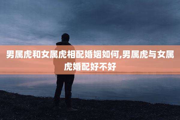 男属虎和女属虎相配婚姻如何,男属虎与女属虎婚配好不好
