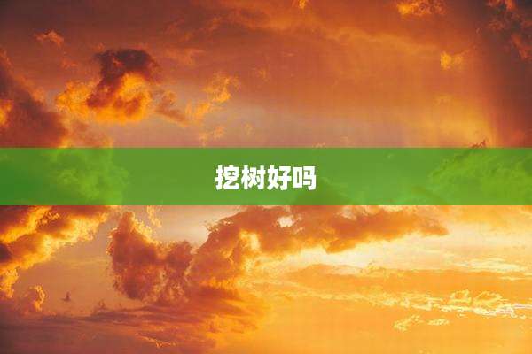 挖树好吗