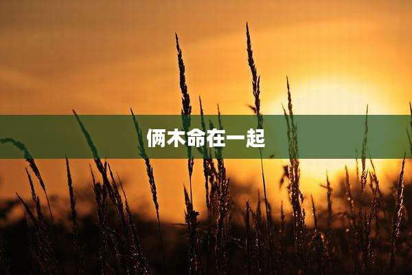 俩木命在一起
