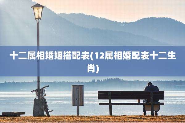 十二属相婚姻搭配表(12属相婚配表十二生肖)