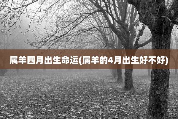 属羊四月出生命运(属羊的4月出生好不好)