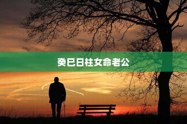 癸巳日柱女命老公