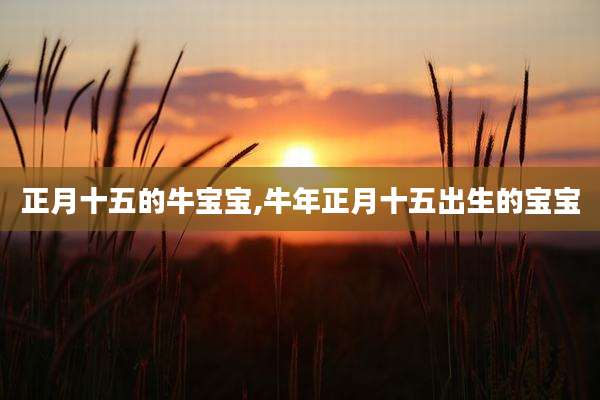 正月十五的牛宝宝,牛年正月十五出生的宝宝