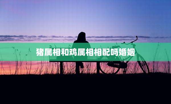 猪属相和鸡属相相配吗婚姻