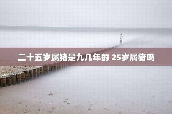 二十五岁属猪是九几年的 25岁属猪吗