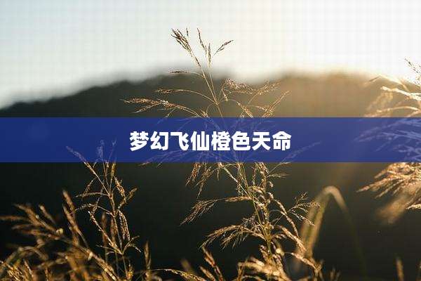 梦幻飞仙橙色天命