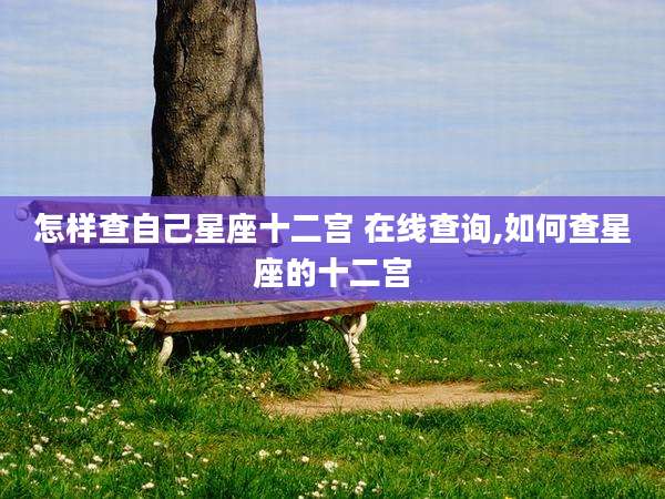 怎样查自己星座十二宫 在线查询,如何查星座的十二宫