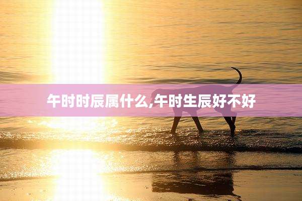 午时时辰属什么,午时生辰好不好