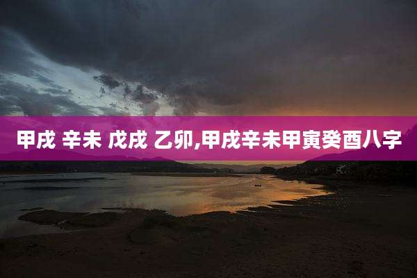 甲戌 辛未 戊戌 乙卯,甲戌辛未甲寅癸酉八字