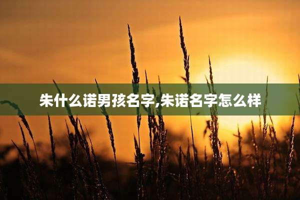 朱什么诺男孩名字,朱诺名字怎么样