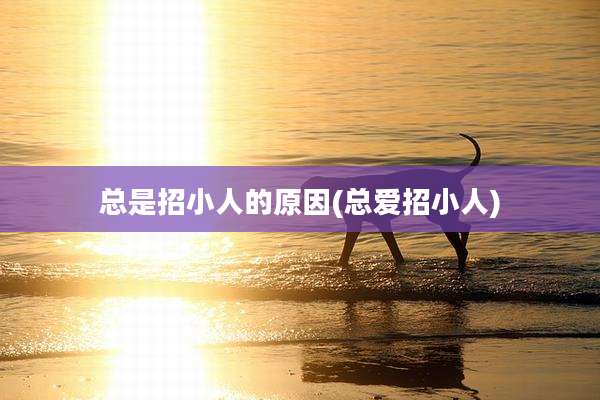 总是招小人的原因(总爱招小人)