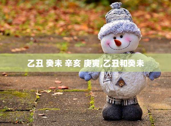乙丑 癸未 辛亥 庚寅,乙丑和癸未
