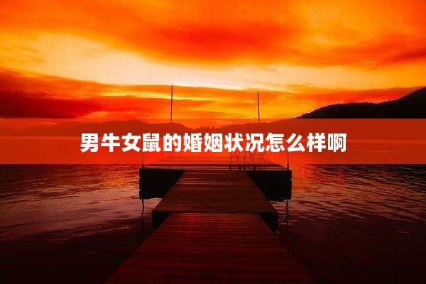 男牛女鼠的婚姻状况怎么样啊