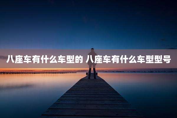 八座车有什么车型的 八座车有什么车型型号