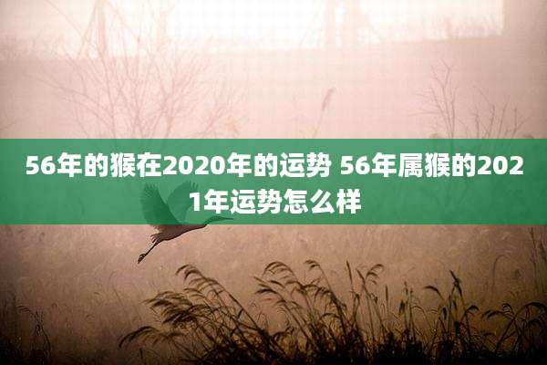 56年的猴在2020年的运势 56年属猴的2021年运势怎么样