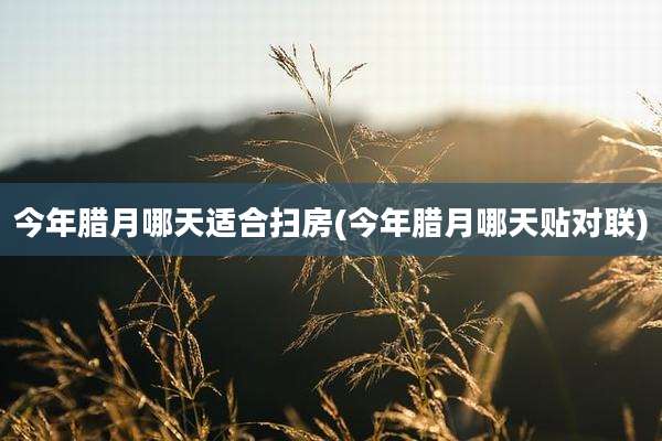 今年腊月哪天适合扫房(今年腊月哪天贴对联)
