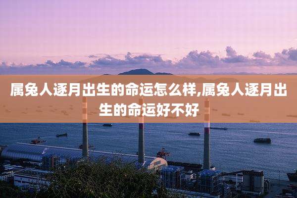 属兔人逐月出生的命运怎么样,属兔人逐月出生的命运好不好