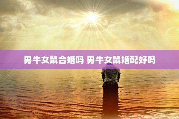 男牛女鼠合婚吗 男牛女鼠婚配好吗