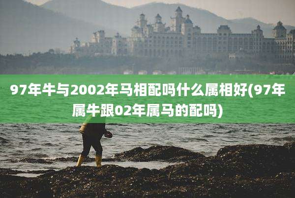 97年牛与2002年马相配吗什么属相好(97年属牛跟02年属马的配吗)