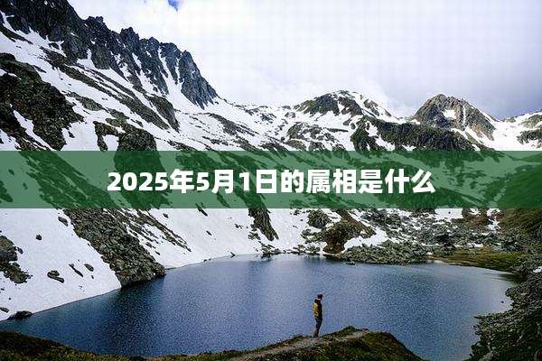 2025年5月1日的属相是什么