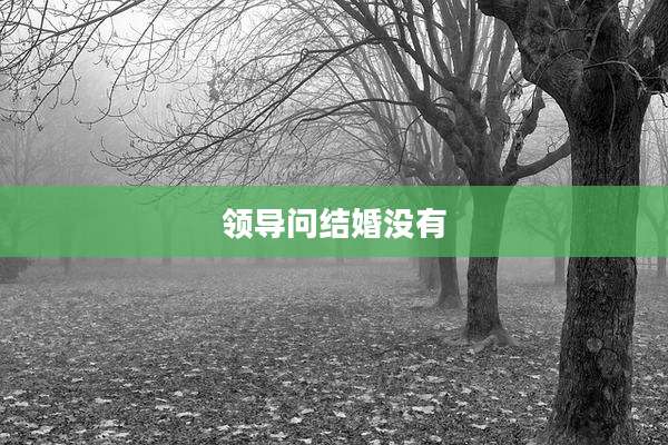 领导问结婚没有