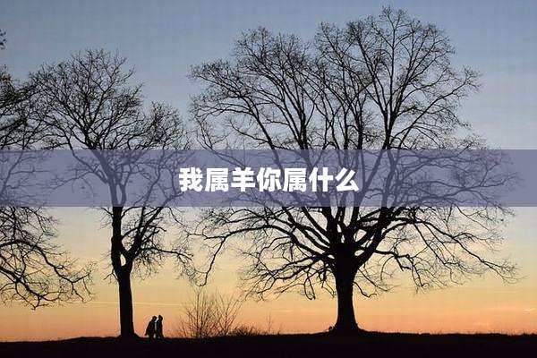 我属羊你属什么