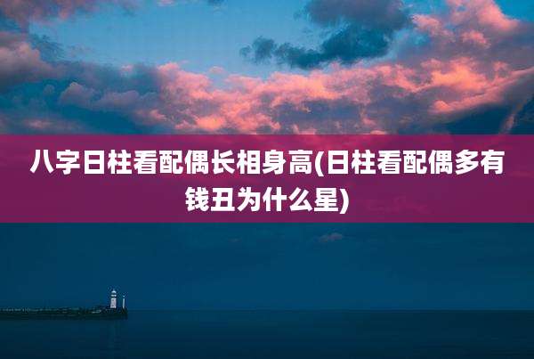八字日柱看配偶长相身高(日柱看配偶多有钱丑为什么星)