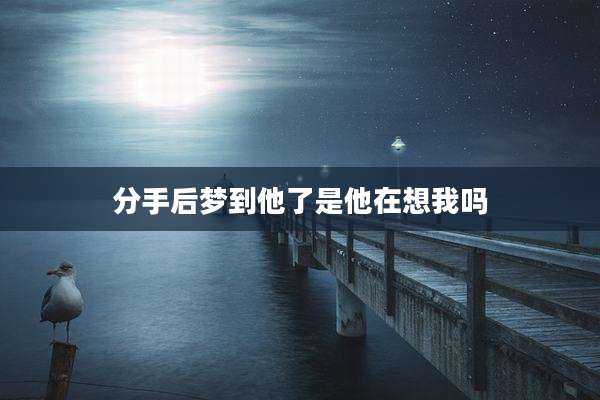 分手后梦到他了是他在想我吗