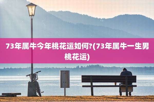 73年属牛今年桃花运如何?(73年属牛一生男桃花运)