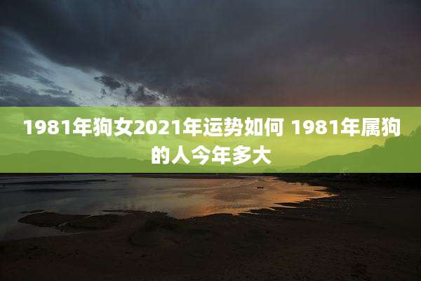 1981年狗女2021年运势如何 1981年属狗的人今年多大