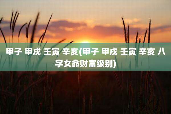 甲子 甲戌 壬寅 辛亥(甲子 甲戌 壬寅 辛亥 八字女命财富级别)