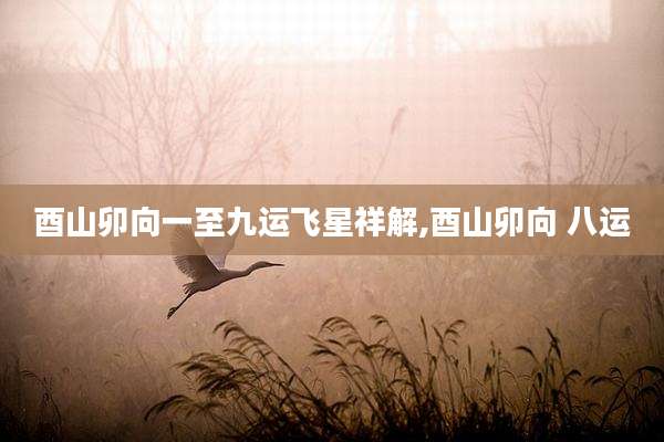 酉山卯向一至九运飞星祥解,酉山卯向 八运