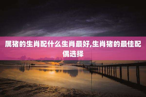 属猪的生肖配什么生肖最好,生肖猪的最佳配偶选择