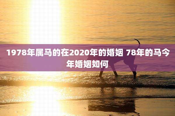 1978年属马的在2020年的婚姻 78年的马今年婚姻如何