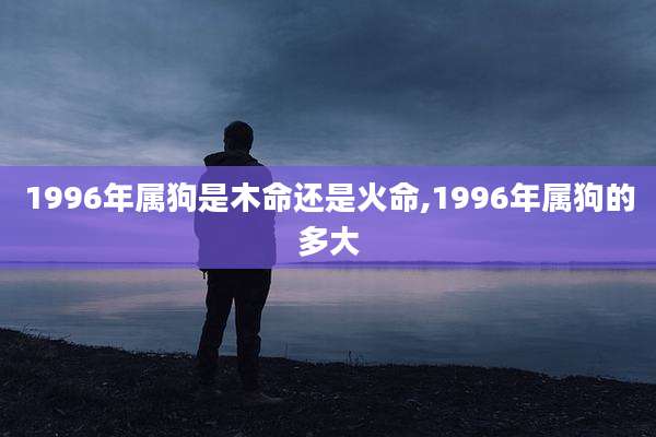 1996年属狗是木命还是火命,1996年属狗的多大