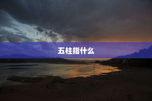 五柱指什么