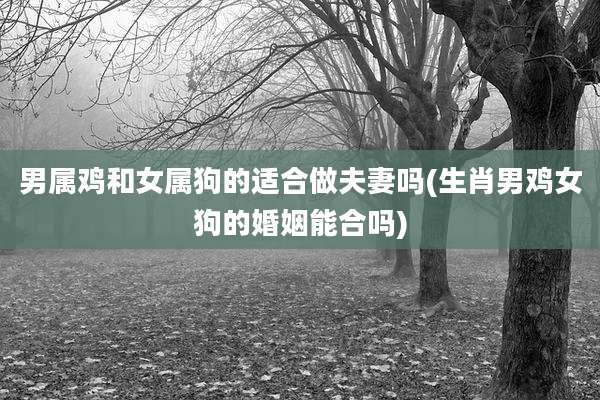 男属鸡和女属狗的适合做夫妻吗(生肖男鸡女狗的婚姻能合吗)