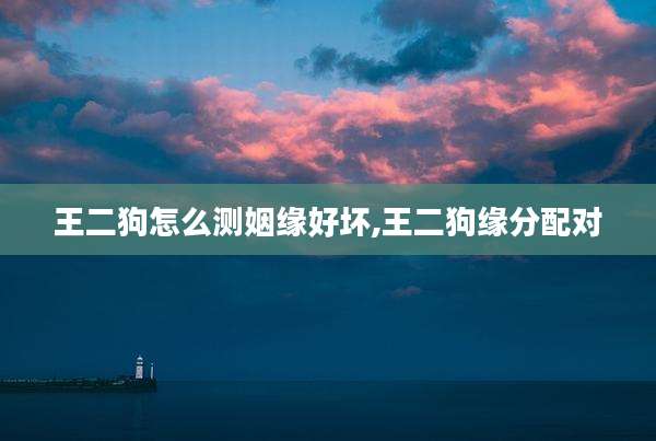 王二狗怎么测姻缘好坏,王二狗缘分配对