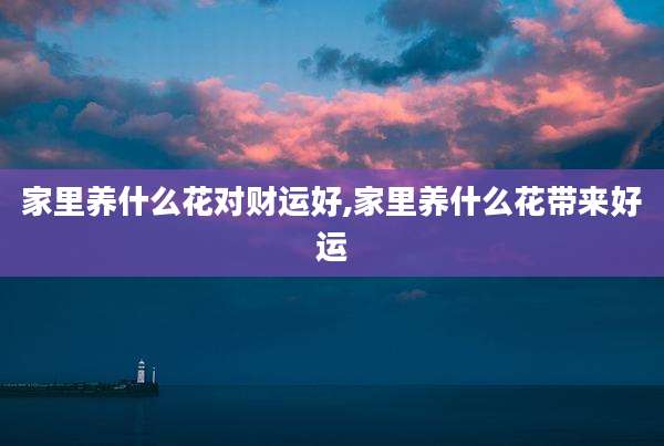 家里养什么花对财运好,家里养什么花带来好运