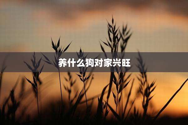 养什么狗对家兴旺