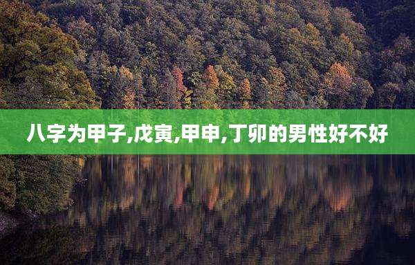 八字为甲子,戊寅,甲申,丁卯的男性好不好
