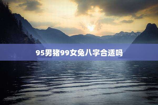 95男猪99女兔八字合适吗