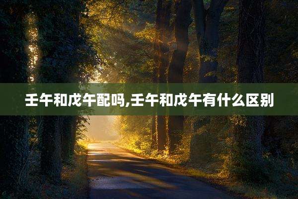 壬午和戊午配吗,壬午和戊午有什么区别