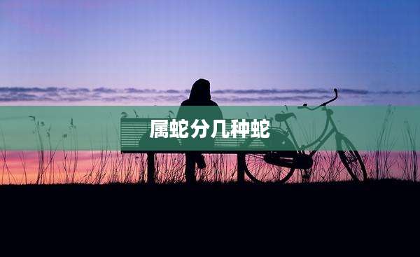 属蛇分几种蛇