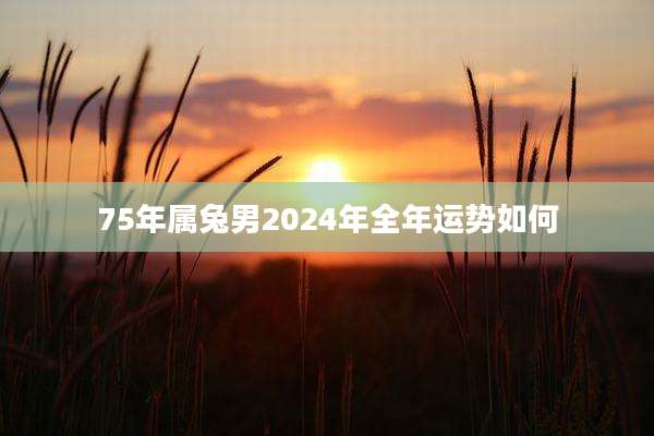 75年属兔男2024年全年运势如何